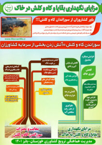 اینفوگرافیک مزایای نگهداری بقایا و کاه کلش در خاک