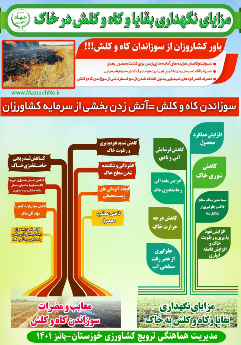 اینفوگرافیک مزایای نگهداری بقایا و کاه کلش در خاک