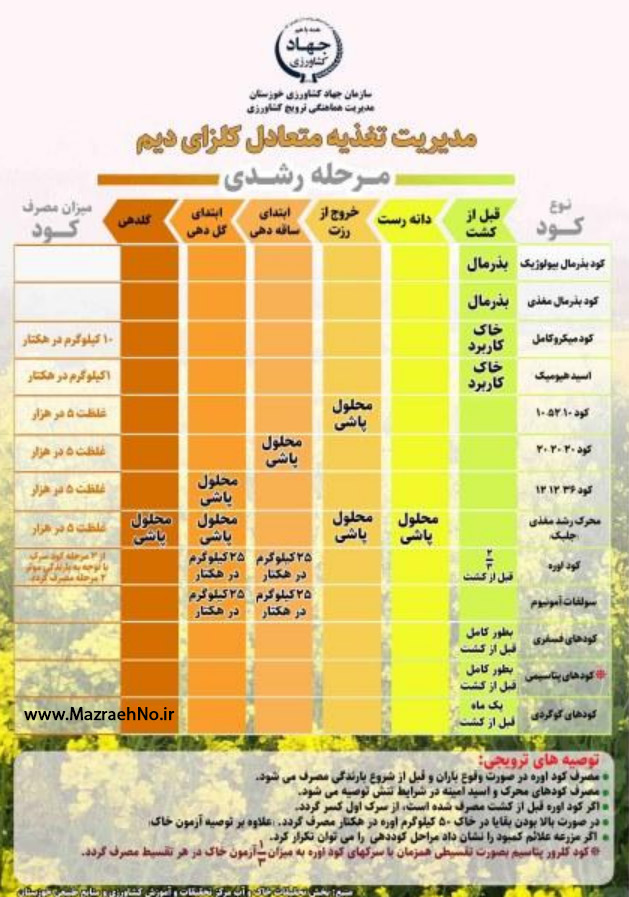 اینفوگرافیک مدیریت تغذیه متعادل کلزای دیم