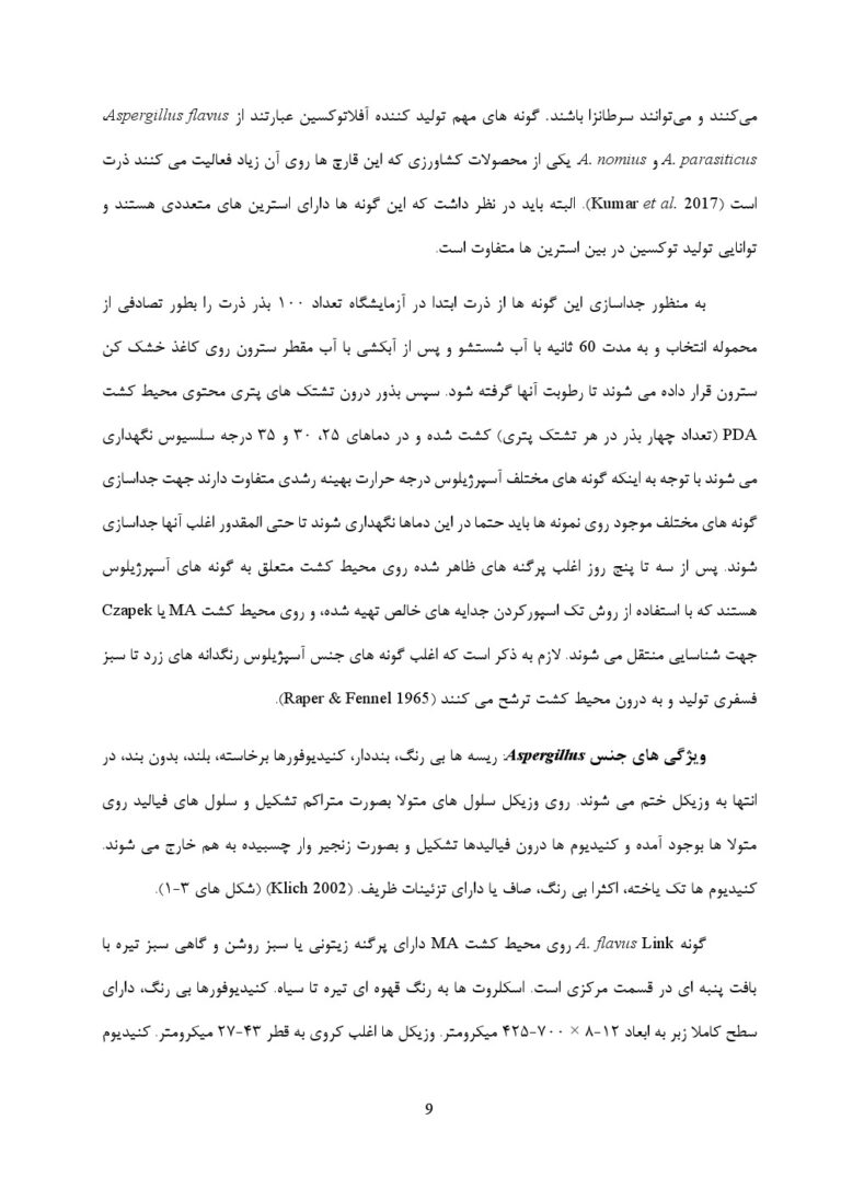 نشریه ترویجی نحوه جداسازی و شناسایی قارچ های مهم مولد میکوتوکسین و بیمارگر بذرزاد از بذور ذرت صفحه 4