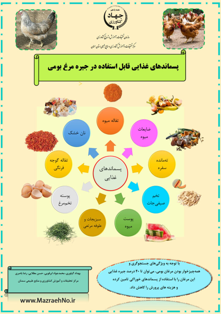 پسماندهای غذایی قابل استفاده در جیره غذایی مرغ بومی