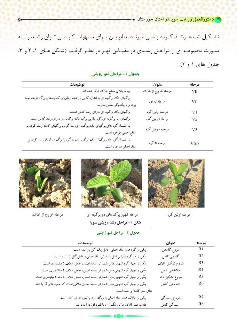 نشریه ترویجی دستورالعمل زراعت سویا در استان خوزستان صفحه 2