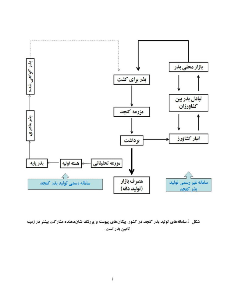 دستورالعمل فنی تولید بذر کنجد صفحه 4