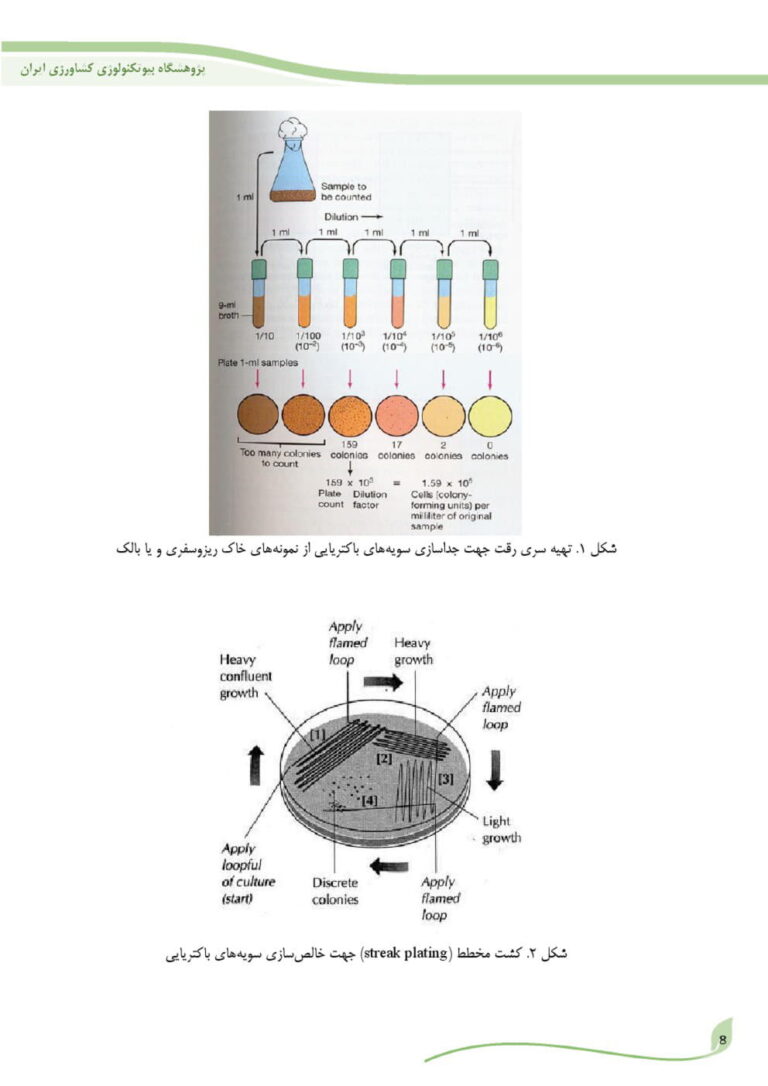 دستورالعمل فنی کار با سویه های آنتاگونیست استرپتومایسس از آزمایشگاه تا مزرعه صفحه 4